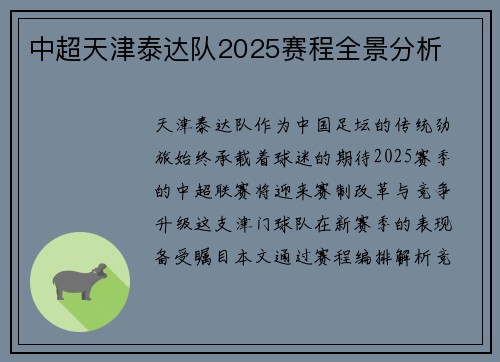 中超天津泰达队2025赛程全景分析